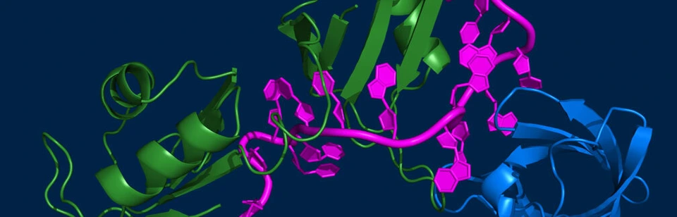 Institutsbutton Institut für Strukturbiologie
