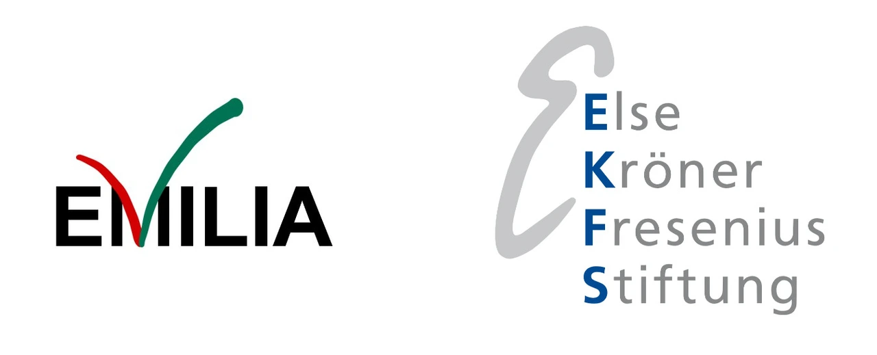 Logo des Promotionsprogramm EMILIA