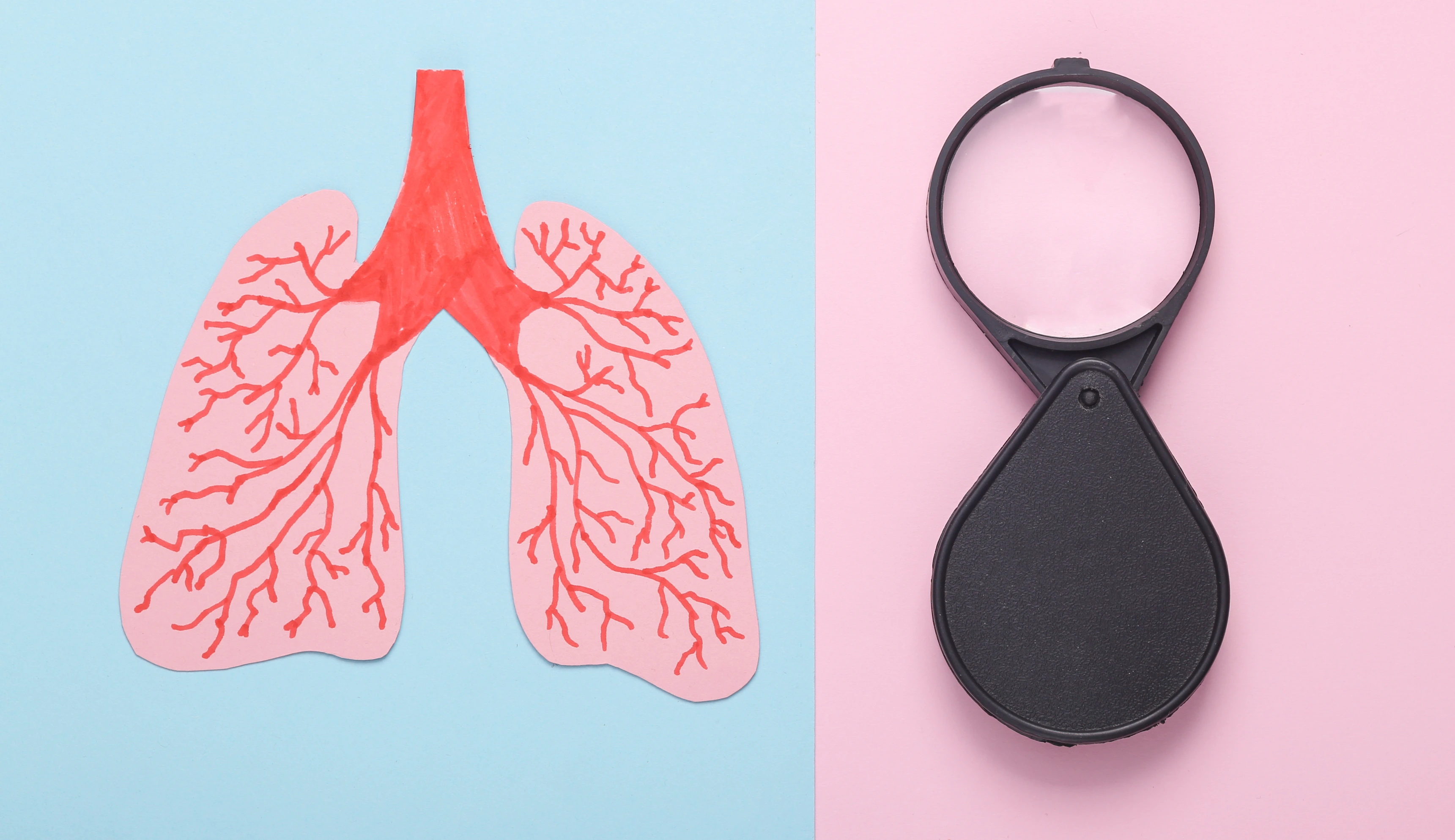 Paper-cut anatomical lungs with a magnifying glass on a blue-pink pastel background. Diagnosis of lung diseases