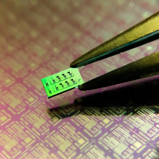 Silicon chip