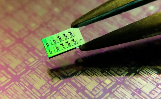 Silicon chip