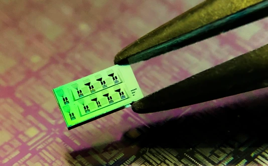 Silicon chip