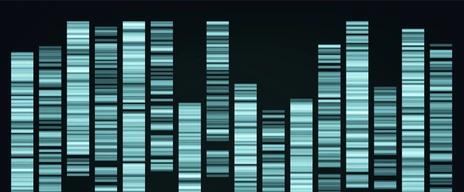 Design Color Big Genomic Data Visualization Vector