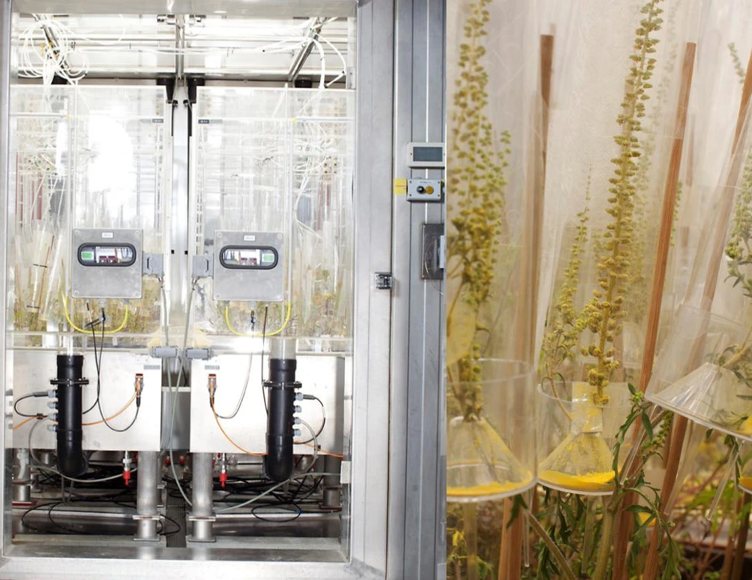 EUS_phytotron_kammer