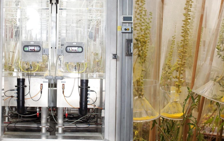 EUS_phytotron_kammer