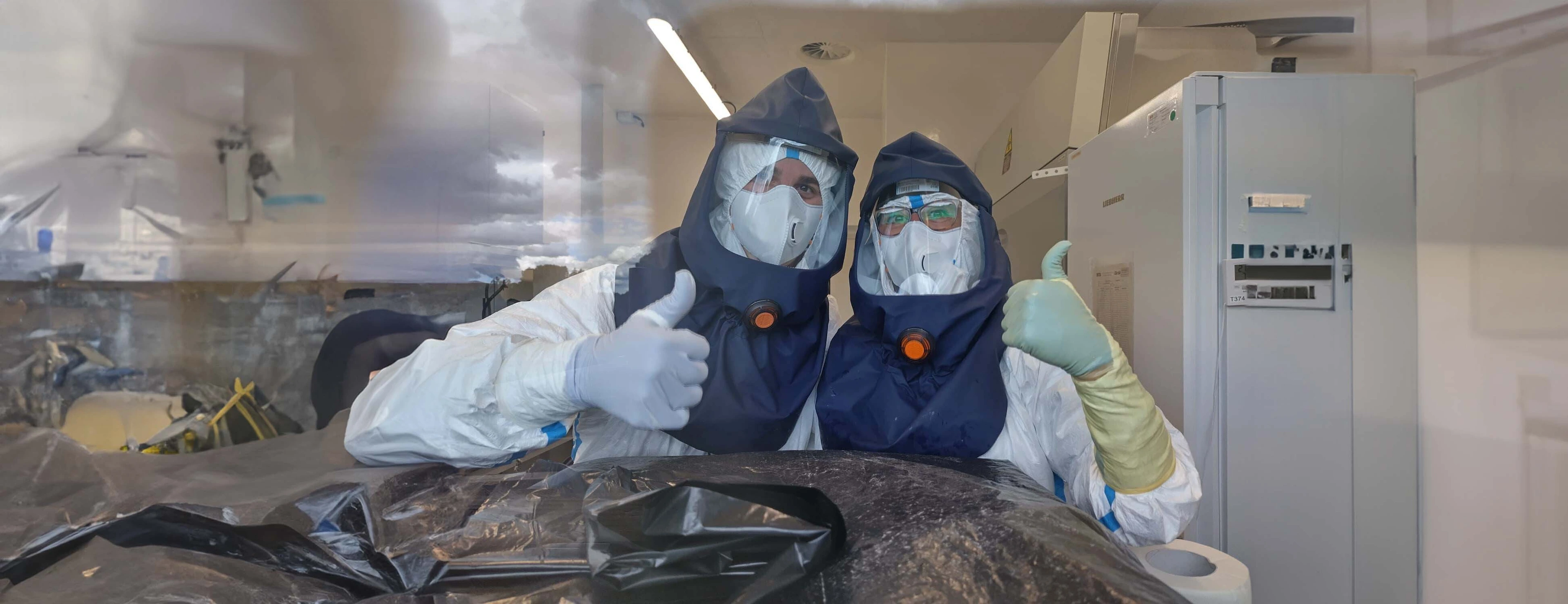 Wildflu ISIDORe Project_KI generated image