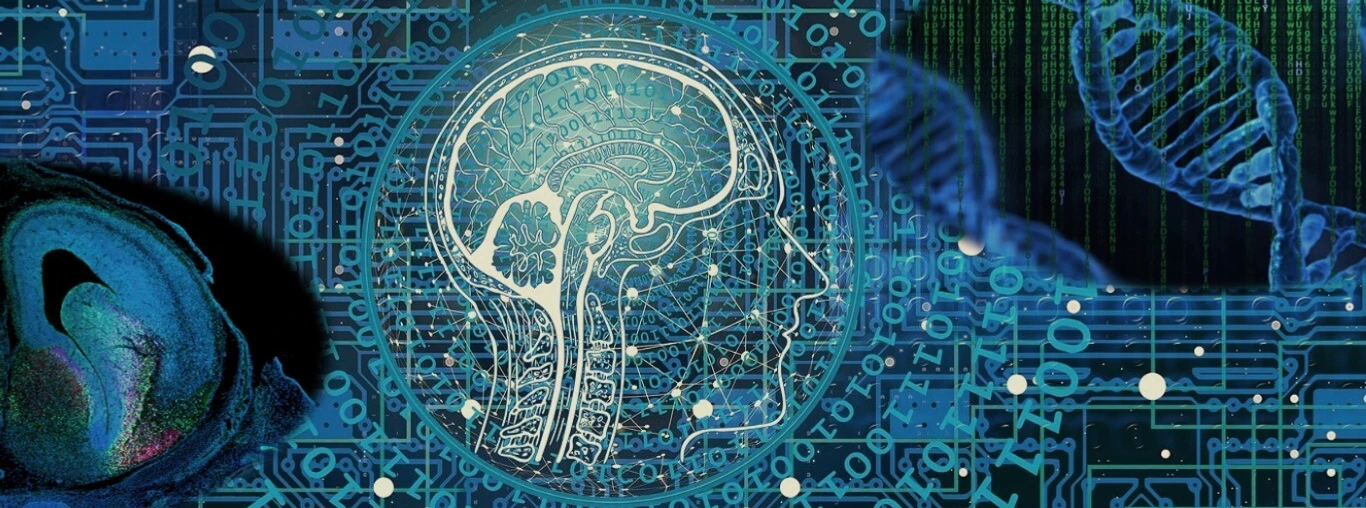 Precision Neuromedicine Header