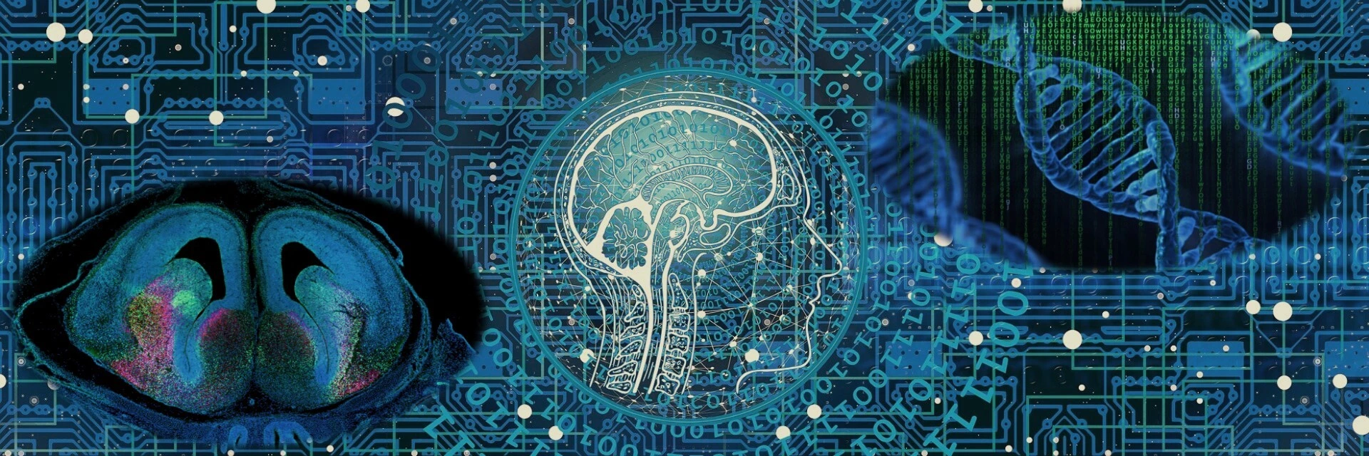 Precision Neuromedicine Header