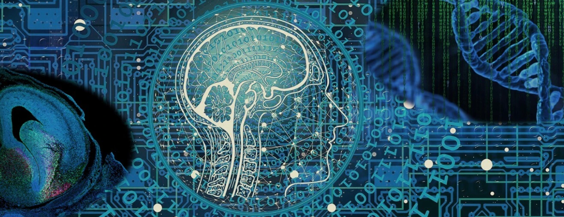 Precision Neuromedicine Header