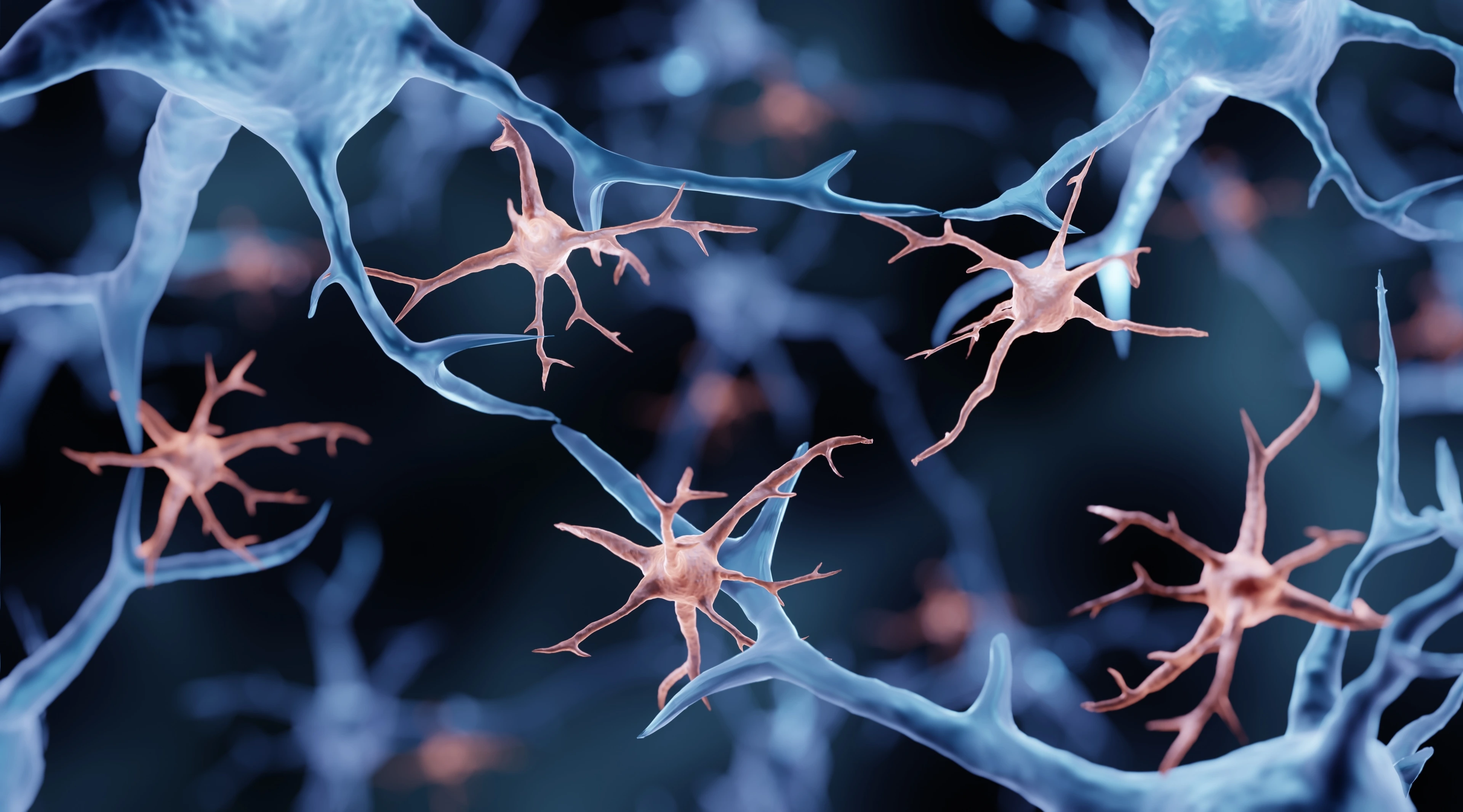 Microglia cells in the brain