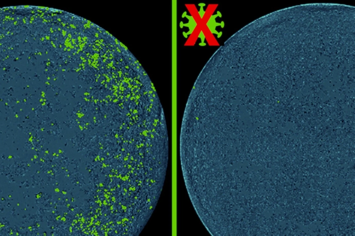 Picture with Cas13d-NCS for Press Release in Cell Discovery 2024