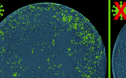 Picture with Cas13d-NCS for Press Release in Cell Discovery 2024