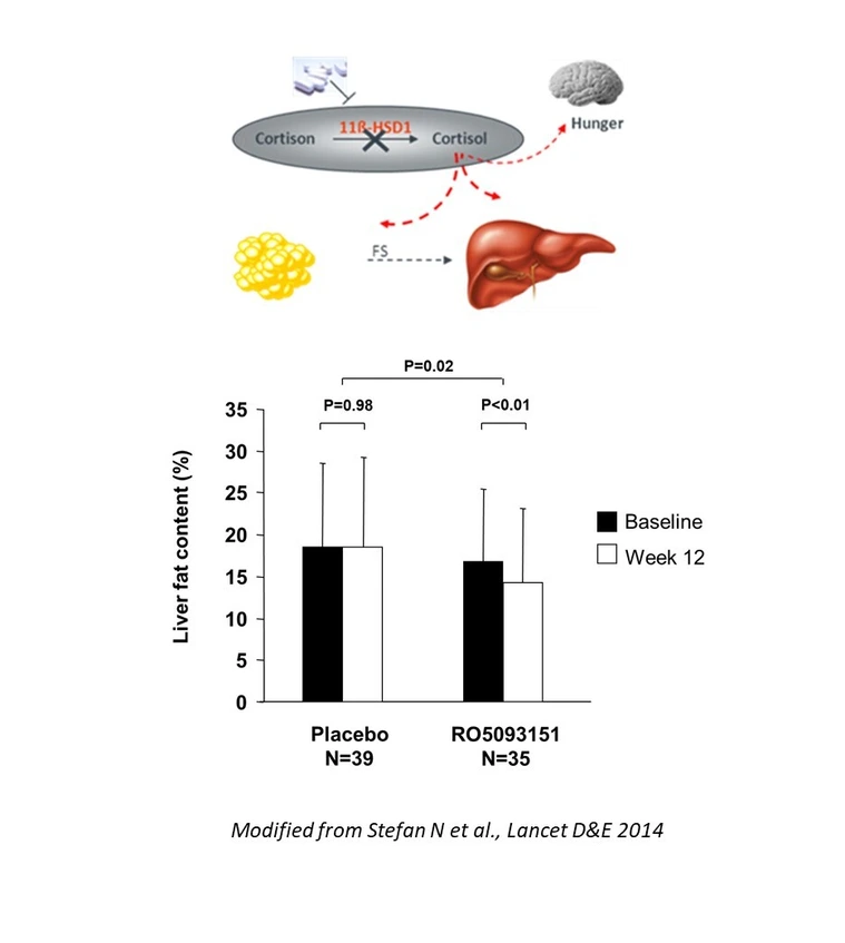 Treatment_of_NAFLD