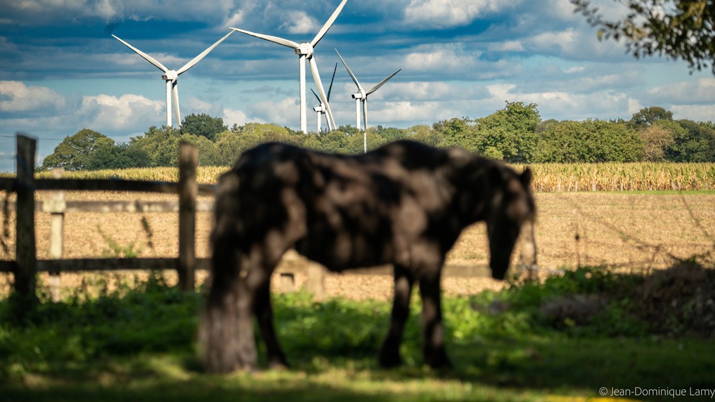 Clos Neuf, Francja 12 MW