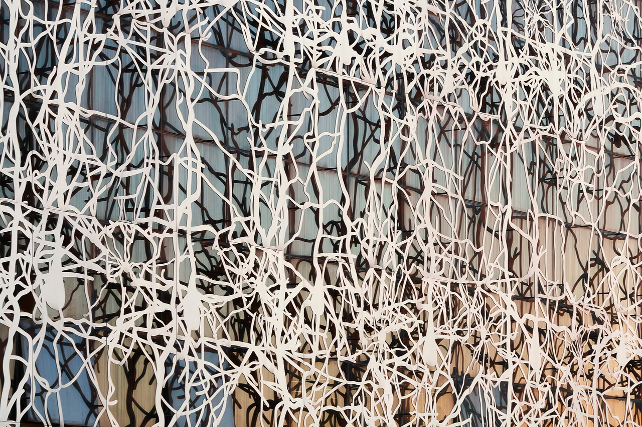 Mente, corpo e costruzione: neuroarchitettura e design