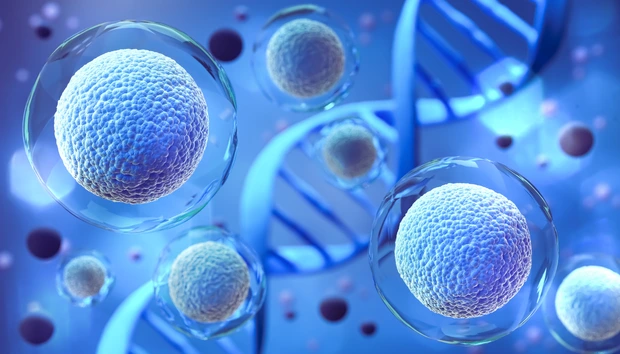 3d rendering of Human cell or Embryonic stem cell microscope background. _AdobeStock_451004383
