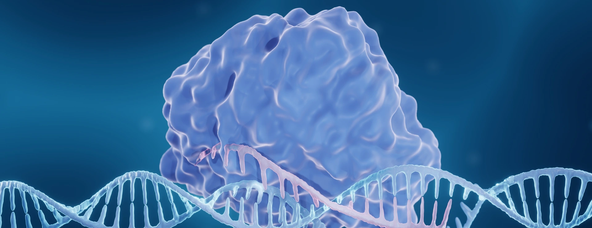 CRISPR-Cas9 genome editing enzyme