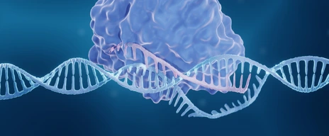 CRISPR-Cas9 genome editing enzyme