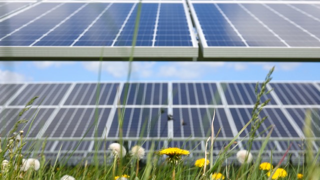 BayWa r.e. Secures Approval for 45-Hectare Solar Farm in Ireland