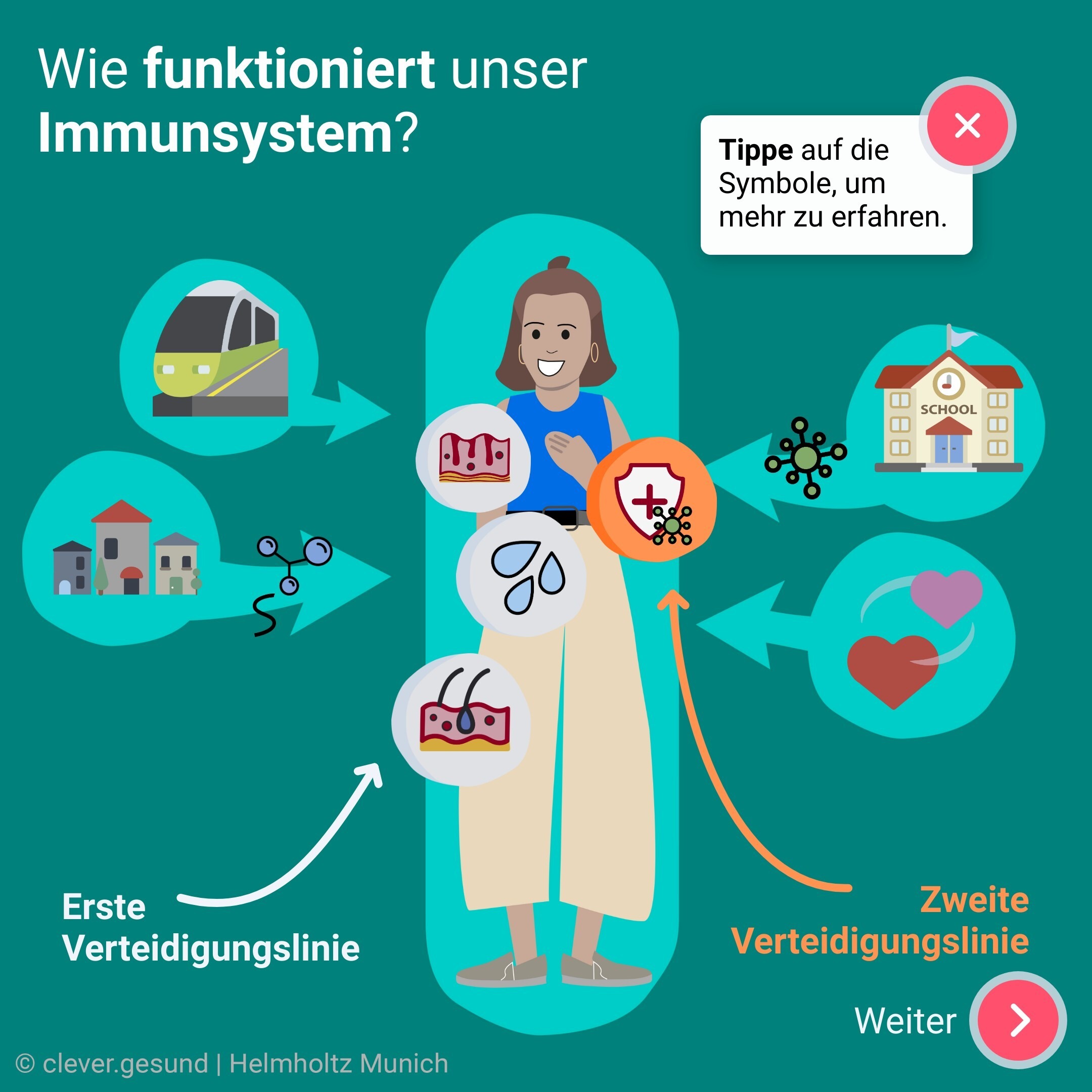 Vorschaubild_Immunsystem