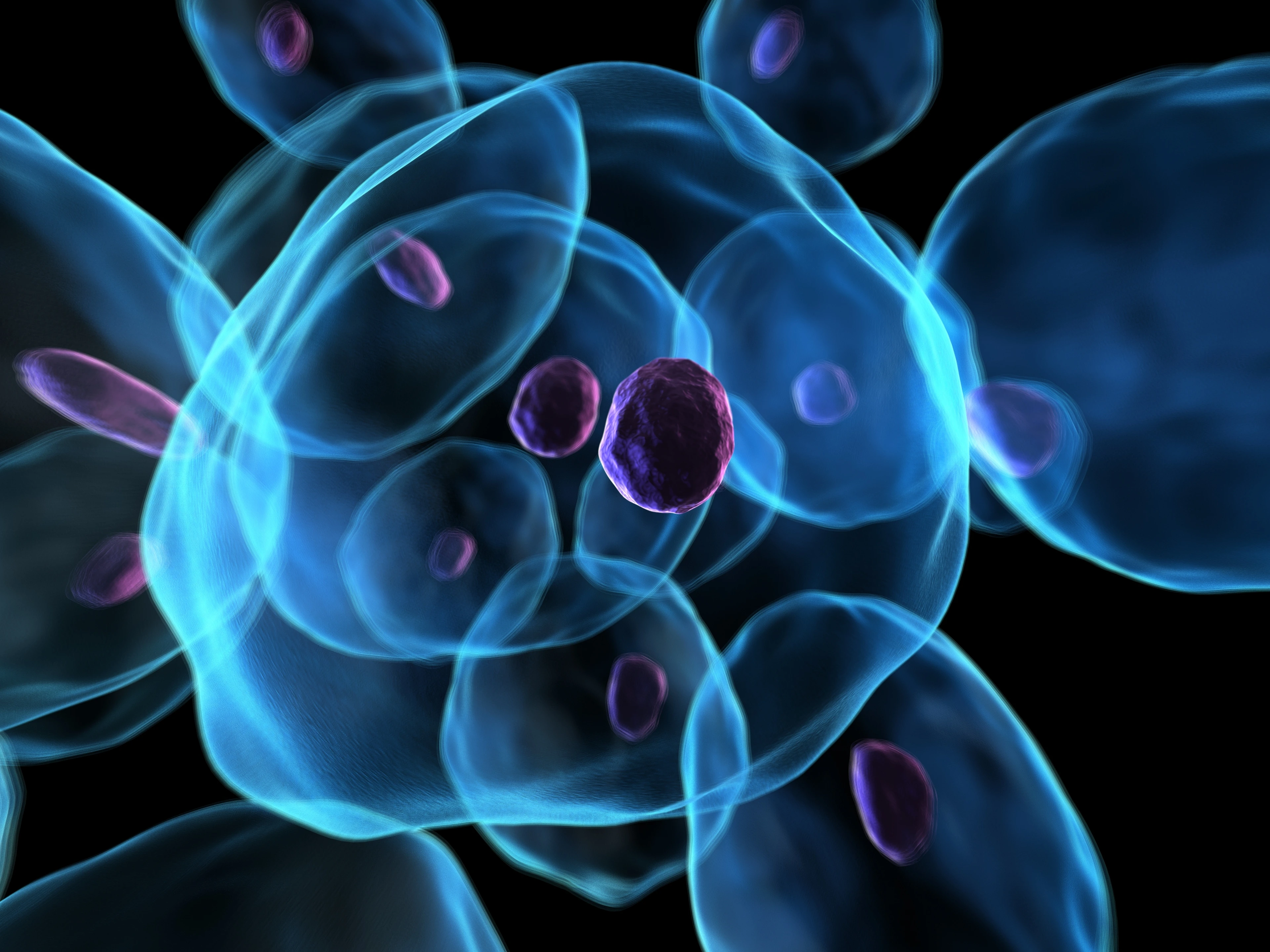 3D illustration of cells
Stem Cell Department, Stage