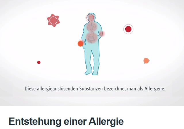 Entstehung einer Allergie