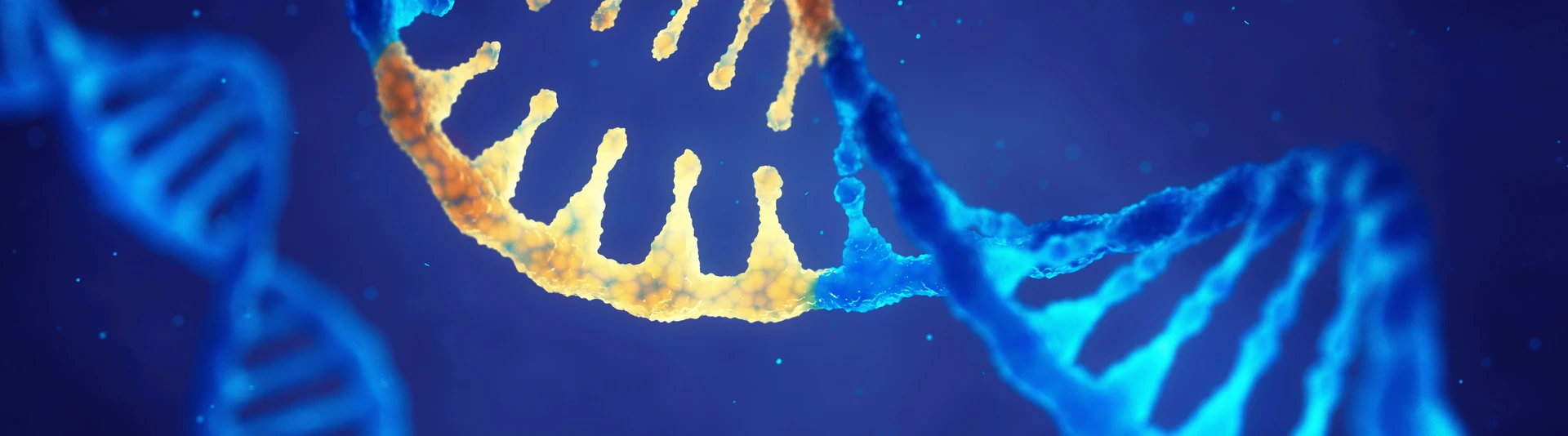 Correcting mutation by genetic engineering