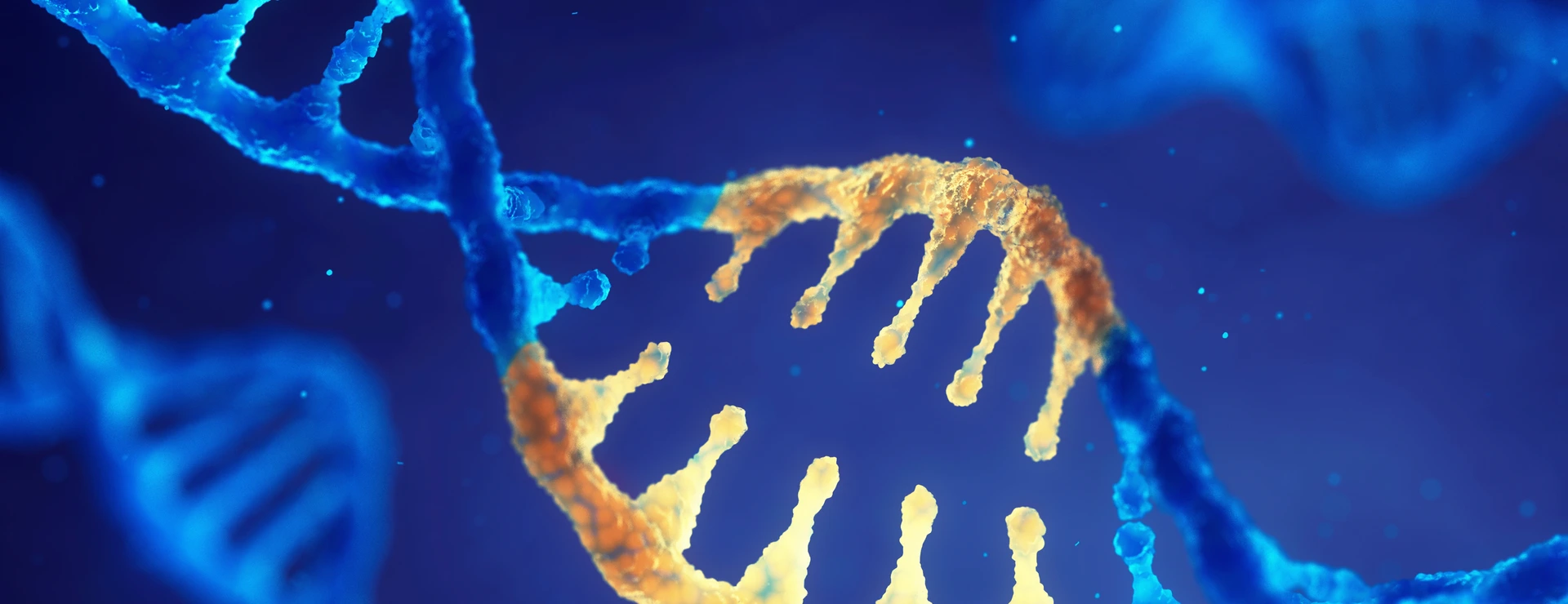Correcting mutation by genetic engineering