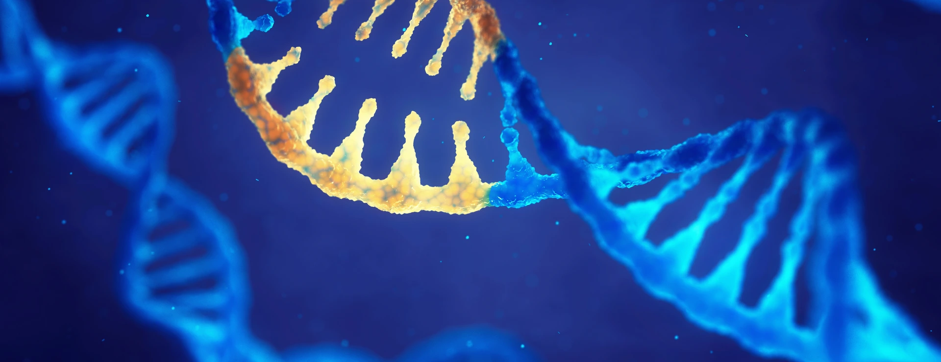 Correcting mutation by genetic engineering