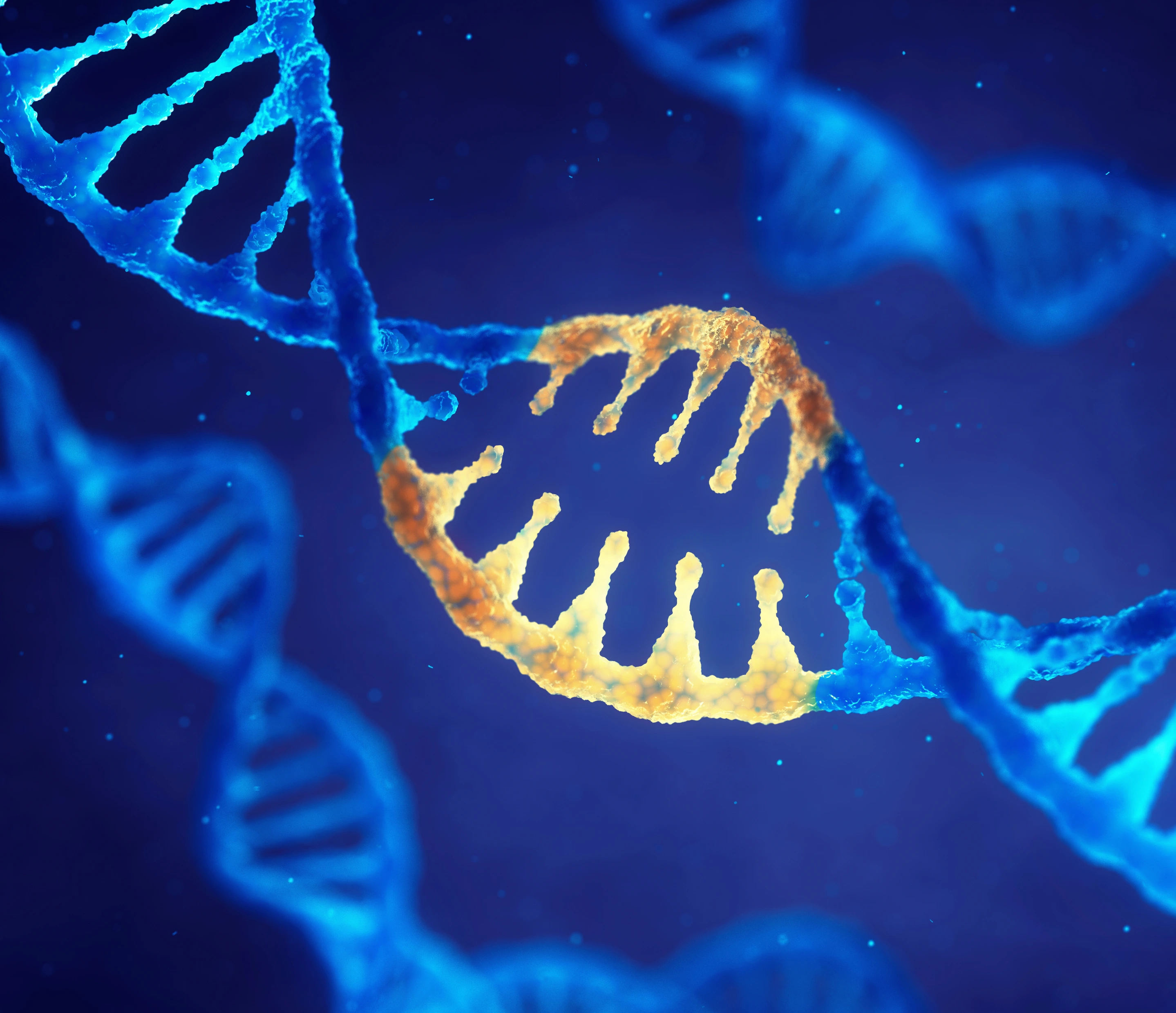 Correcting mutation by genetic engineering