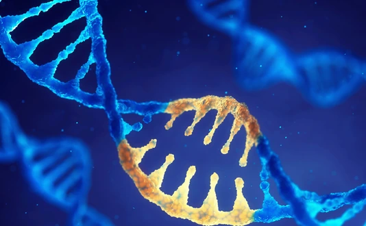 Correcting mutation by genetic engineering