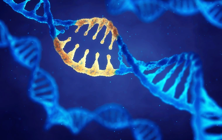 Correcting mutation by genetic engineering