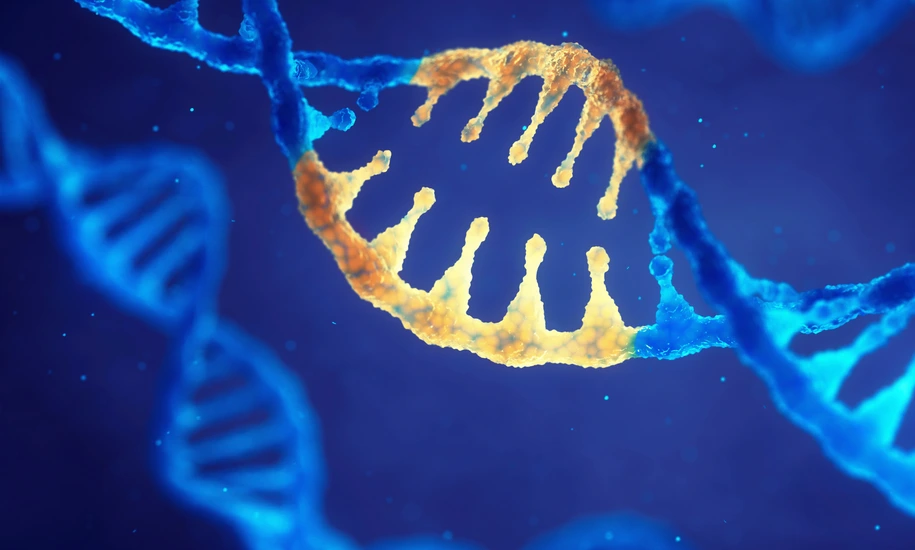 Correcting mutation by genetic engineering