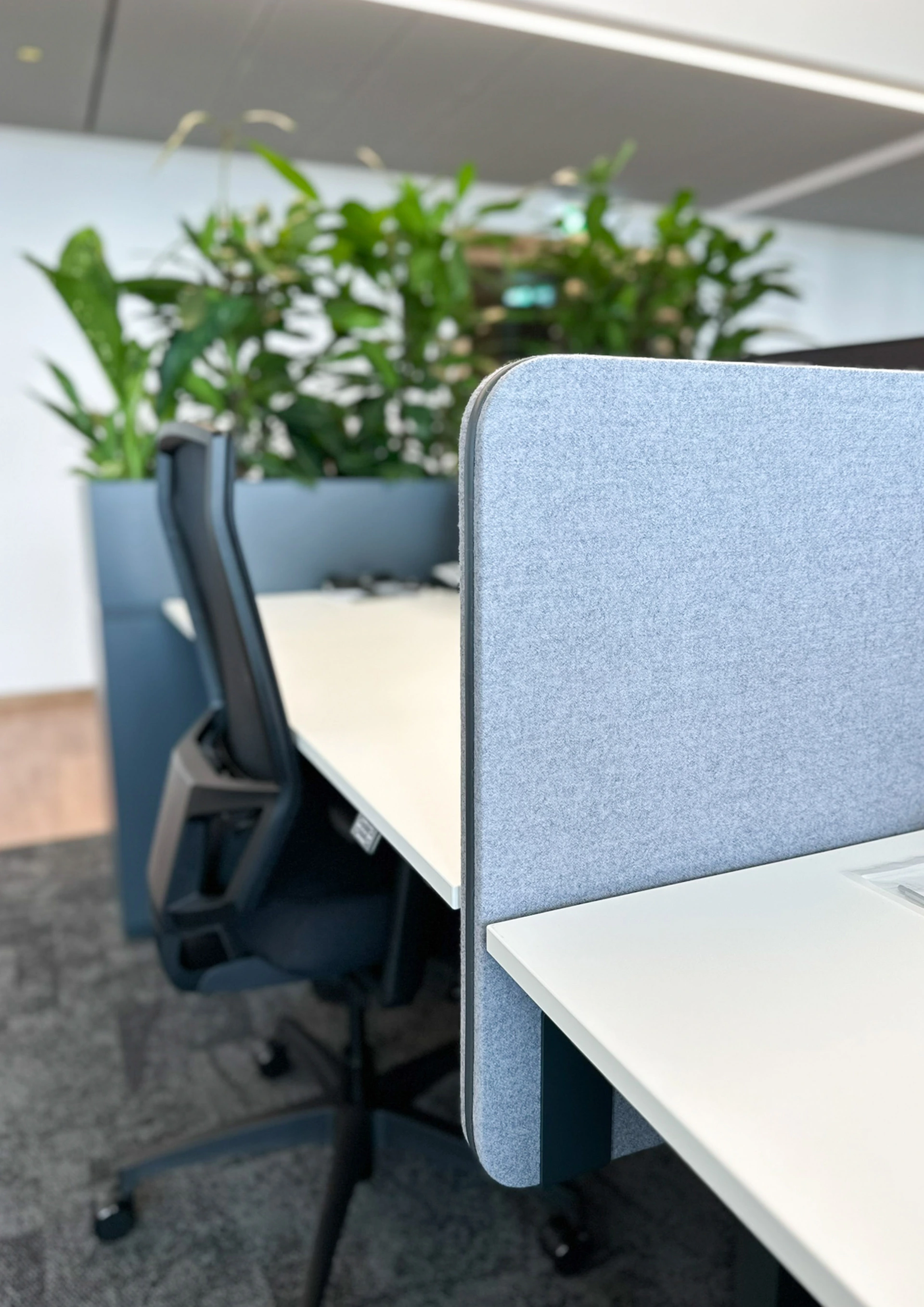 Arbeitsplatz, Maxipanel blau, Tisch Superweiß, Pflanzkasten