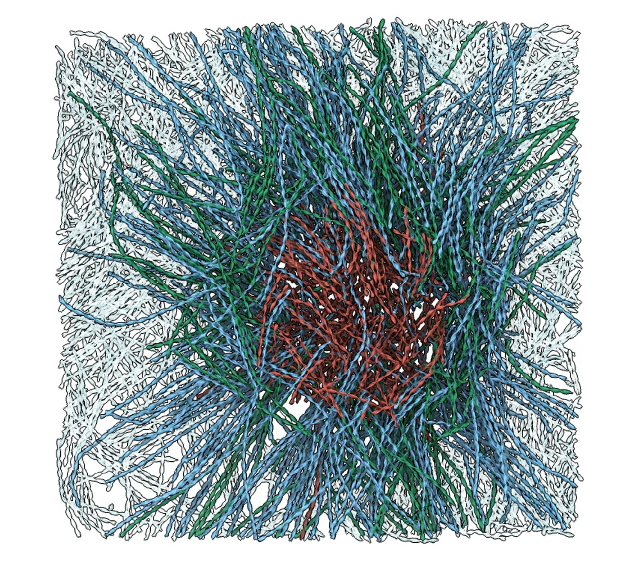 Science Picture Marion Jasnin