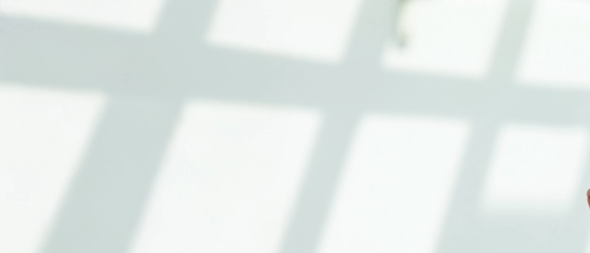 Breites Porträt von LHI Direktor Ali Önder Yildirim