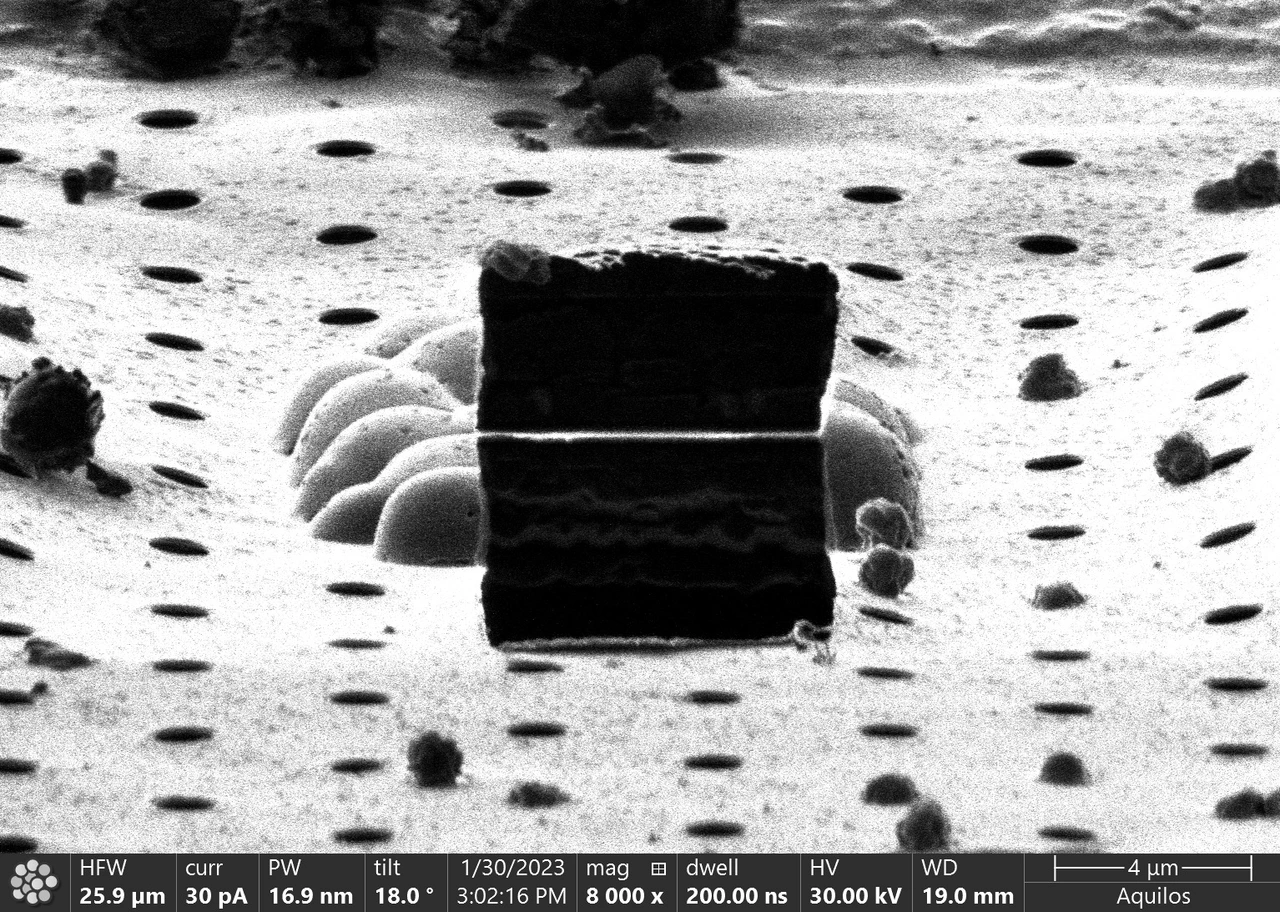 Eine dünne Lamelle, ausgeschnitten aus einem Cluster von Hefezellen.