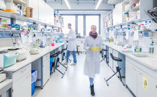 Labs at Helmholtz Munich are an inspiring environment.