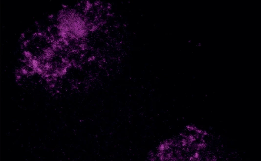 Heterochromatin in the early embryo.
