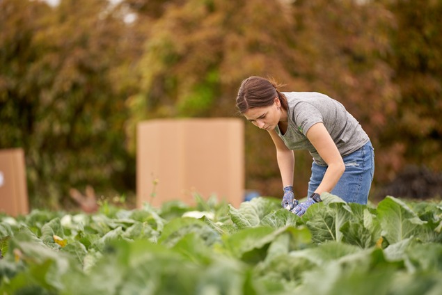 Community Engagement