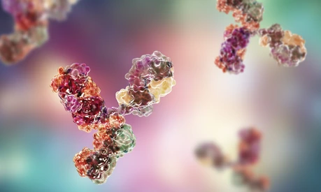 Molecular model of immunoglobulin