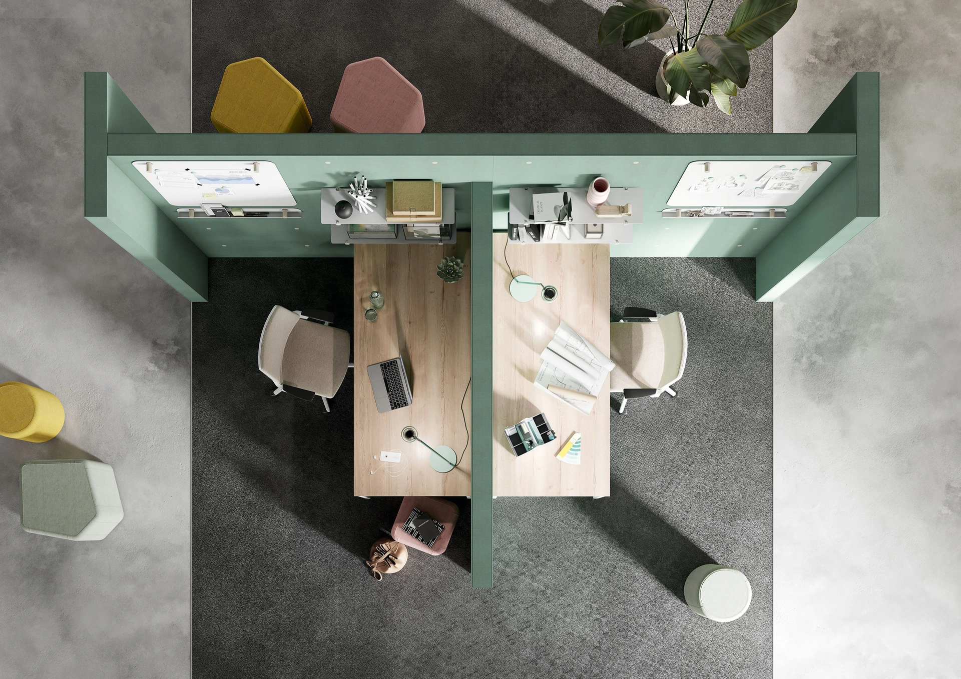 AcMedia Image