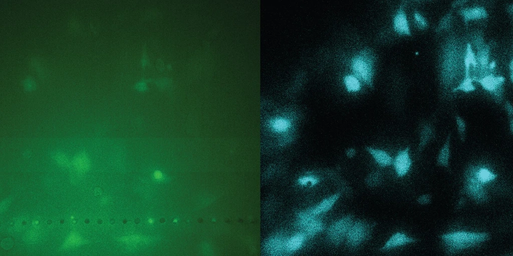 Ma_press_fig_v4_QIScope