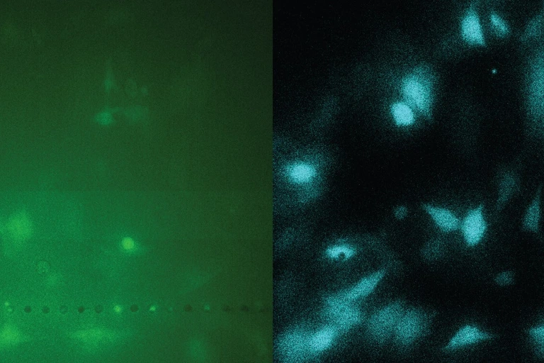 Ma_press_fig_v4_QIScope