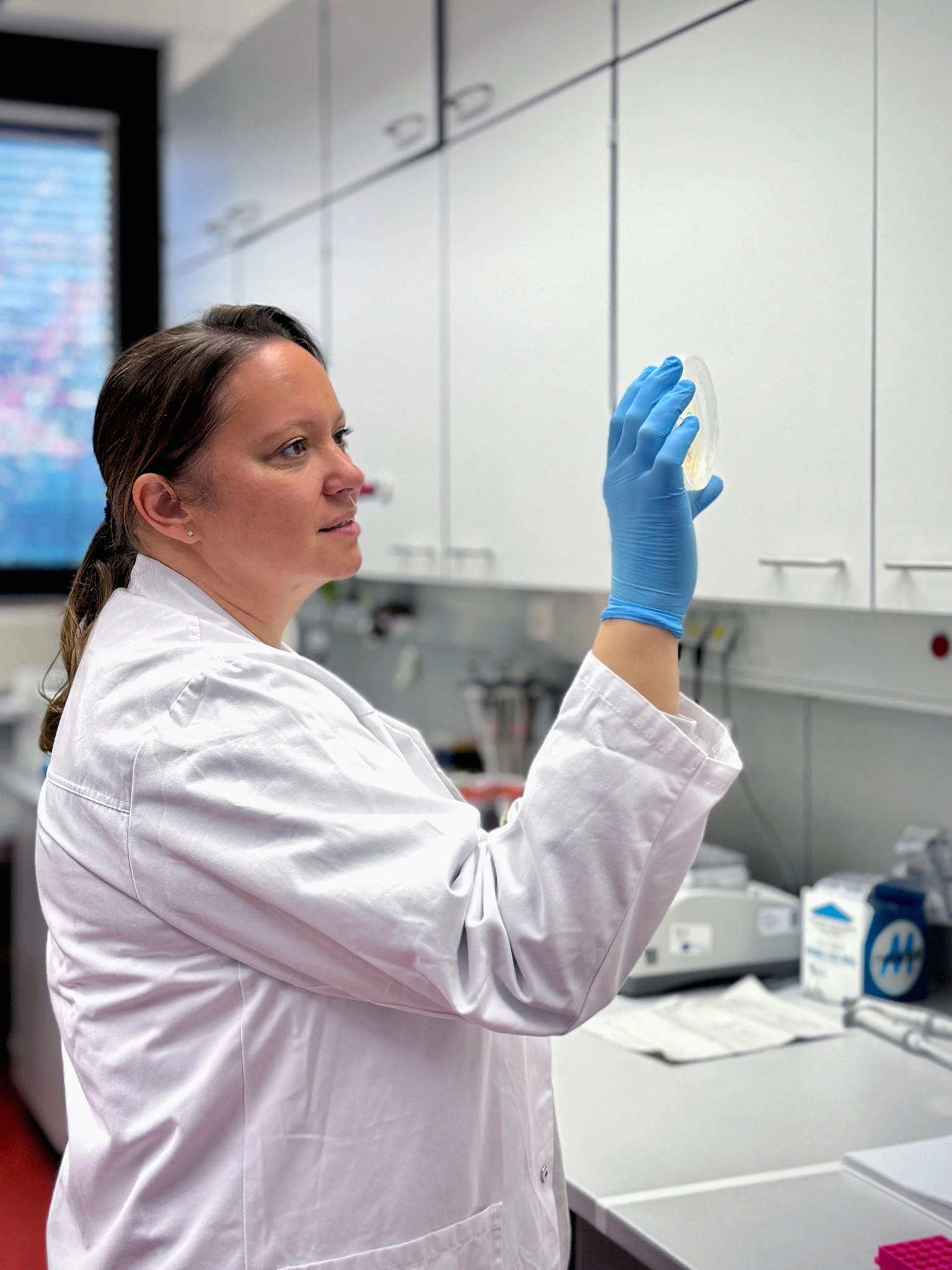 Michelle Vincendeau Petrischale