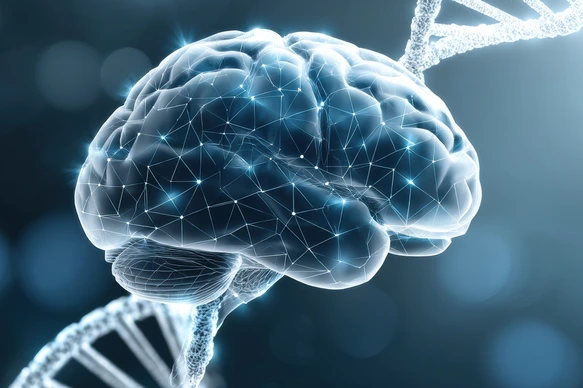 Brain and DNA