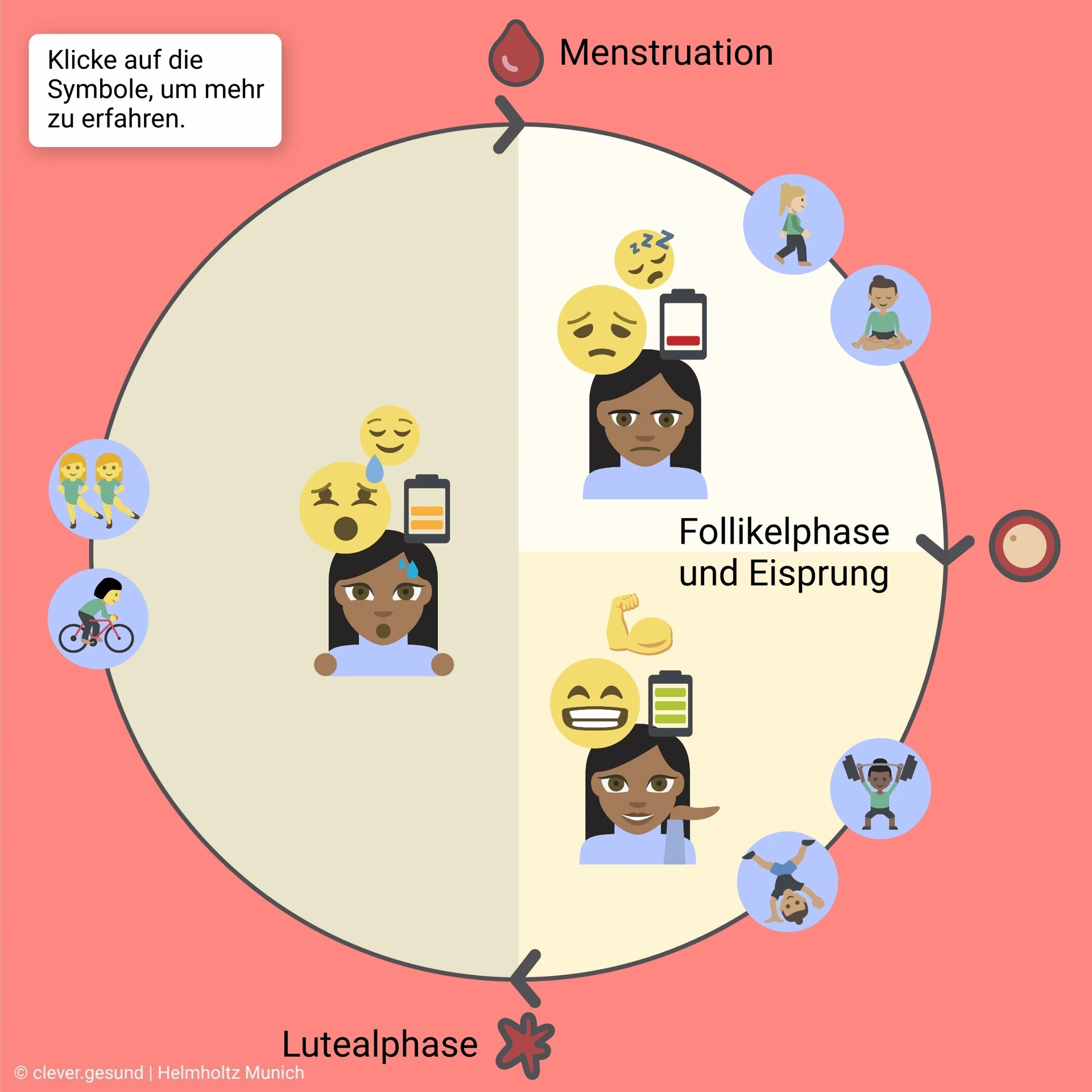 Vorschaubild zyklusbasiertes Training
