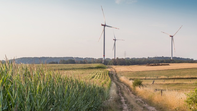 three windmills among farms and forest
