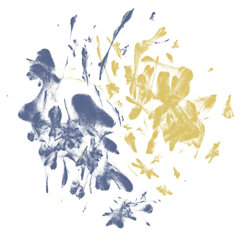 Nicheformer pretraining