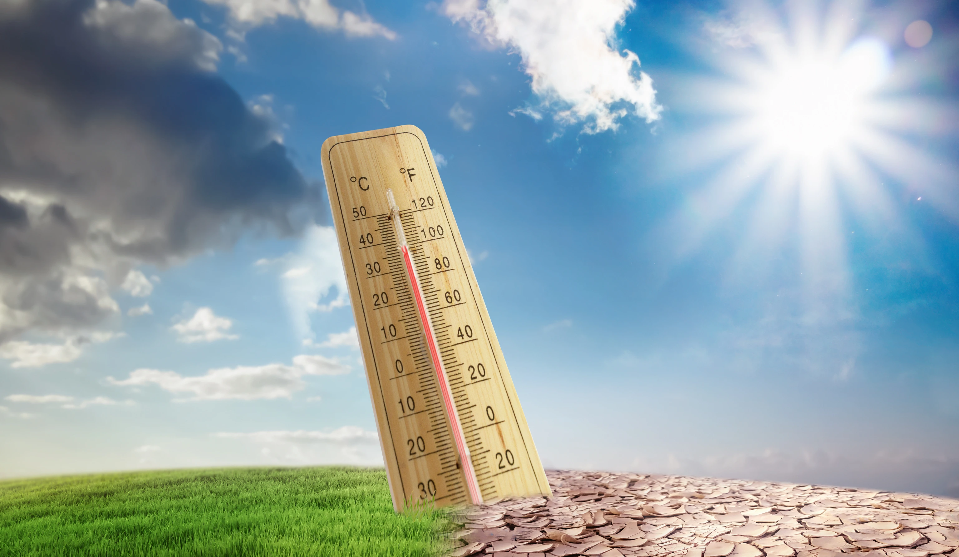 The climate is changing, followed by drought, crop failures and poverty.